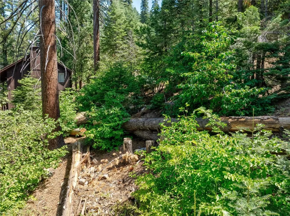 7419 Henness Ridge Road Yosemite, CA 95389