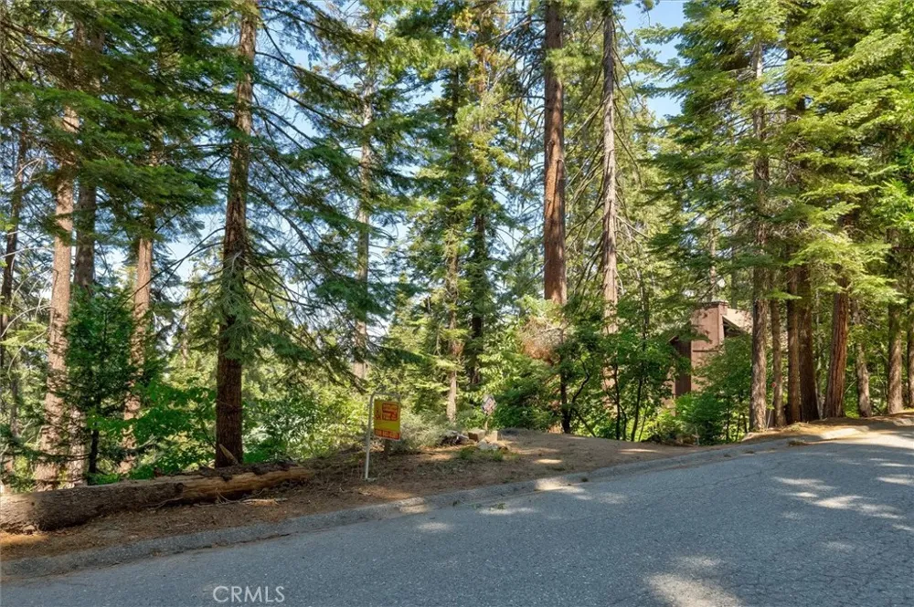 7419 Henness Ridge Road Yosemite, CA 95389