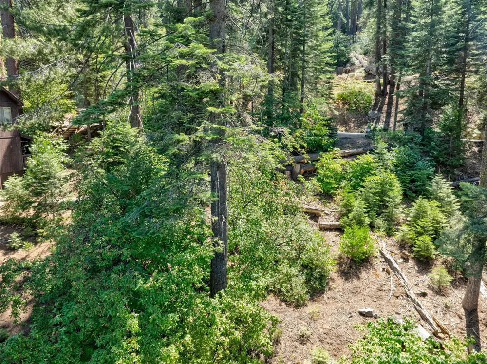 7419 Henness Ridge Road Yosemite, CA 95389