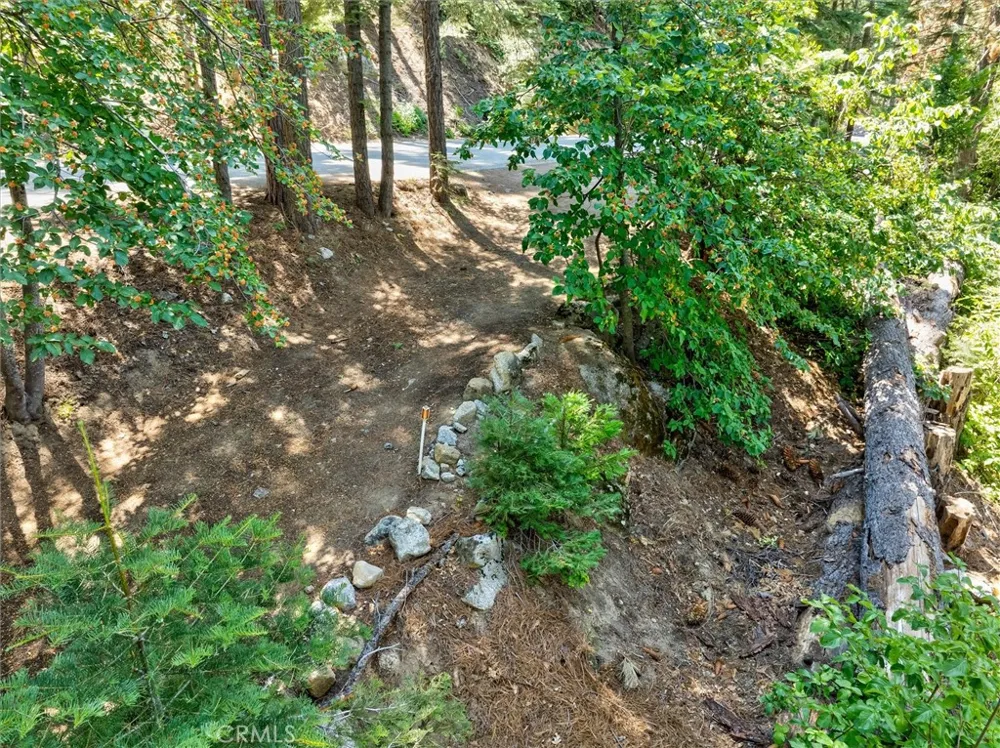 7419 Henness Ridge Road Yosemite, CA 95389
