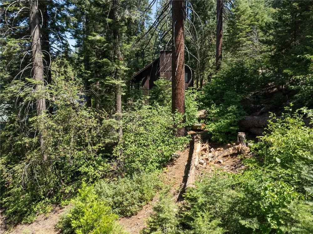 7419 Henness Ridge Road Yosemite, CA 95389