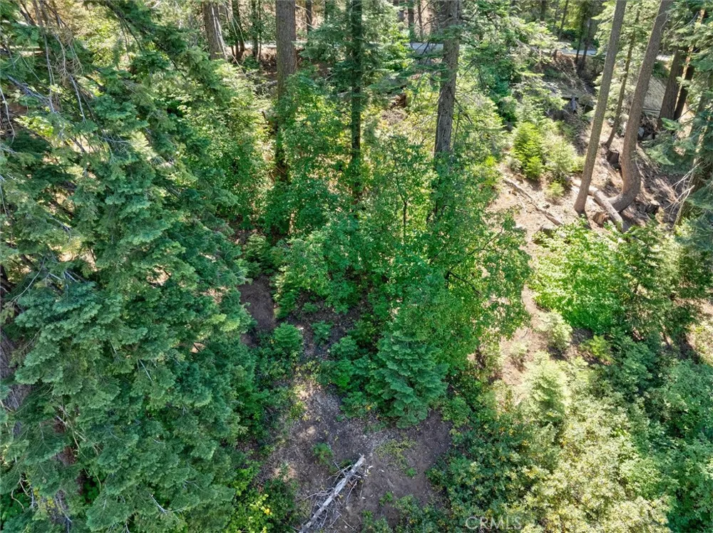 7419 Henness Ridge Road Yosemite, CA 95389