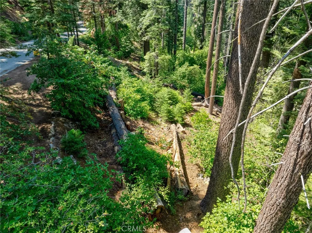 7419 Henness Ridge Road Yosemite, CA 95389