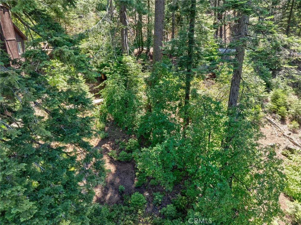 7419 Henness Ridge Road Yosemite, CA 95389