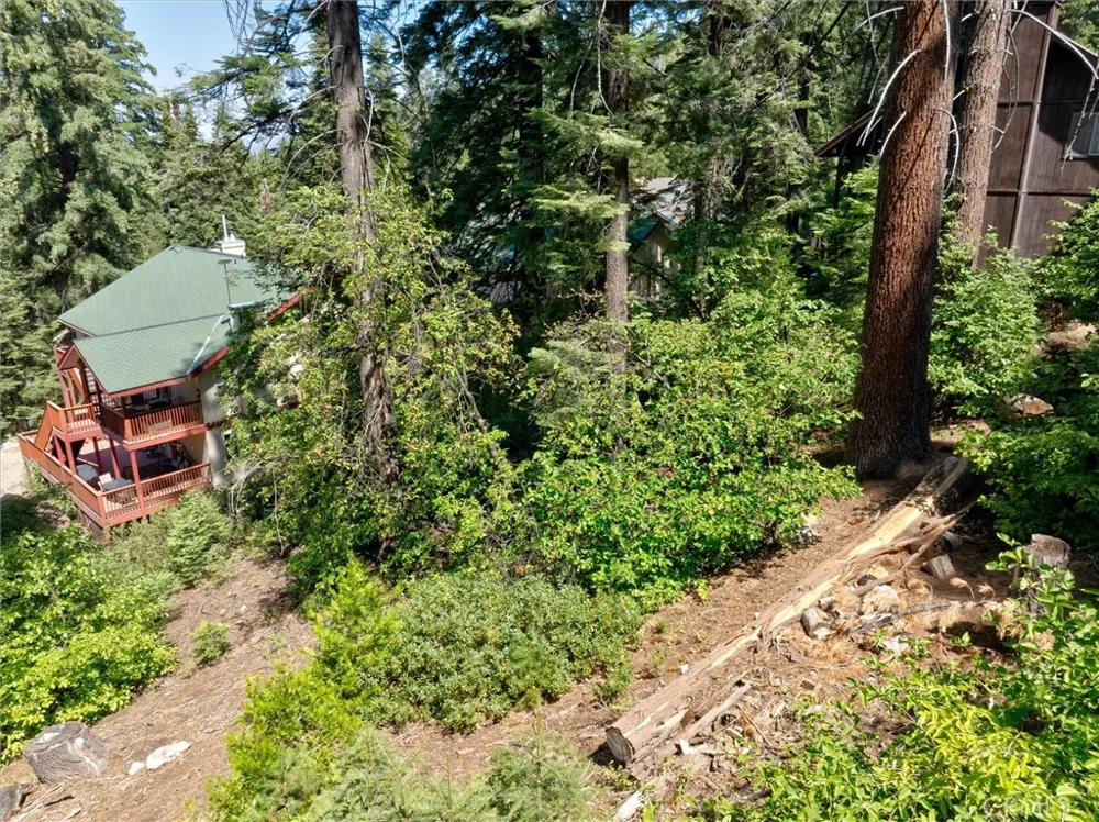 7419 Henness Ridge Road Yosemite, CA 95389