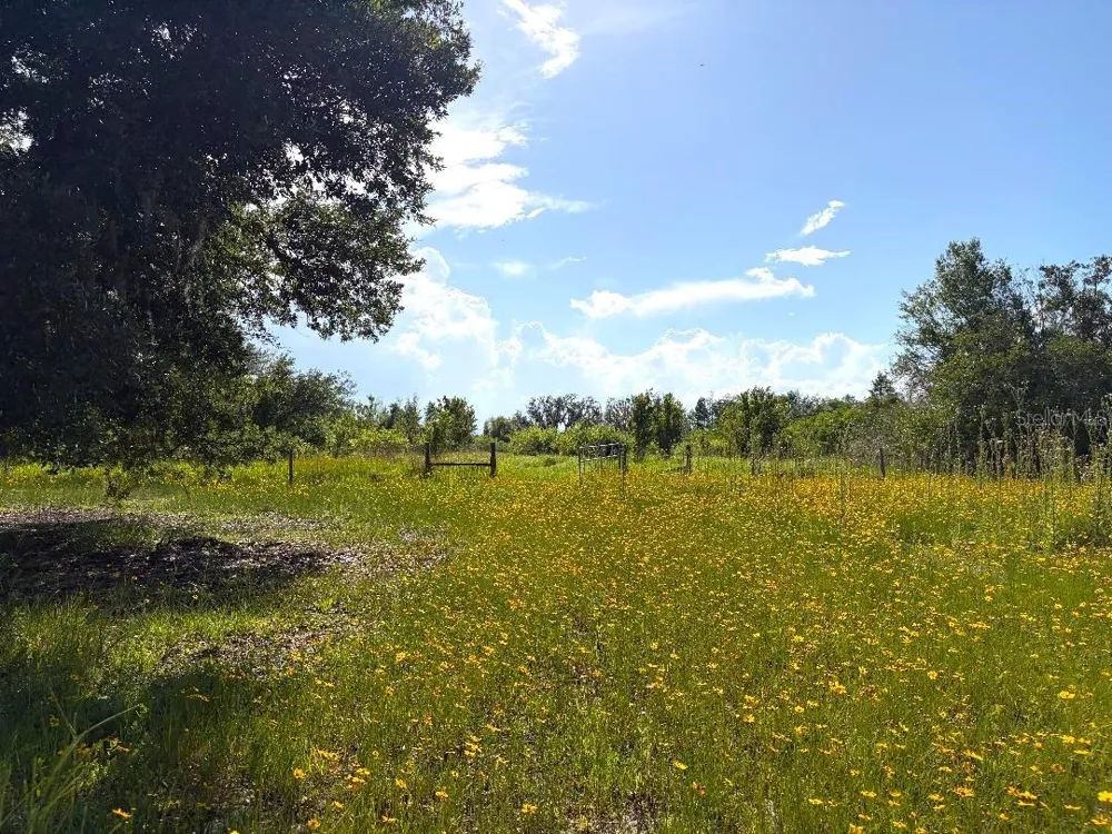 3045 LOGUE ROAD Myakka City, FL 34251