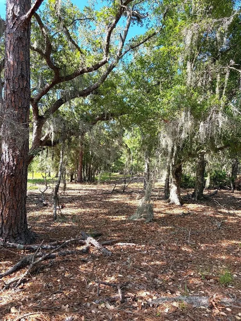 3045 LOGUE ROAD Myakka City, FL 34251