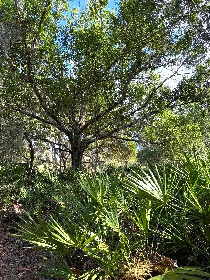 3045 LOGUE ROAD Myakka City, FL 34251