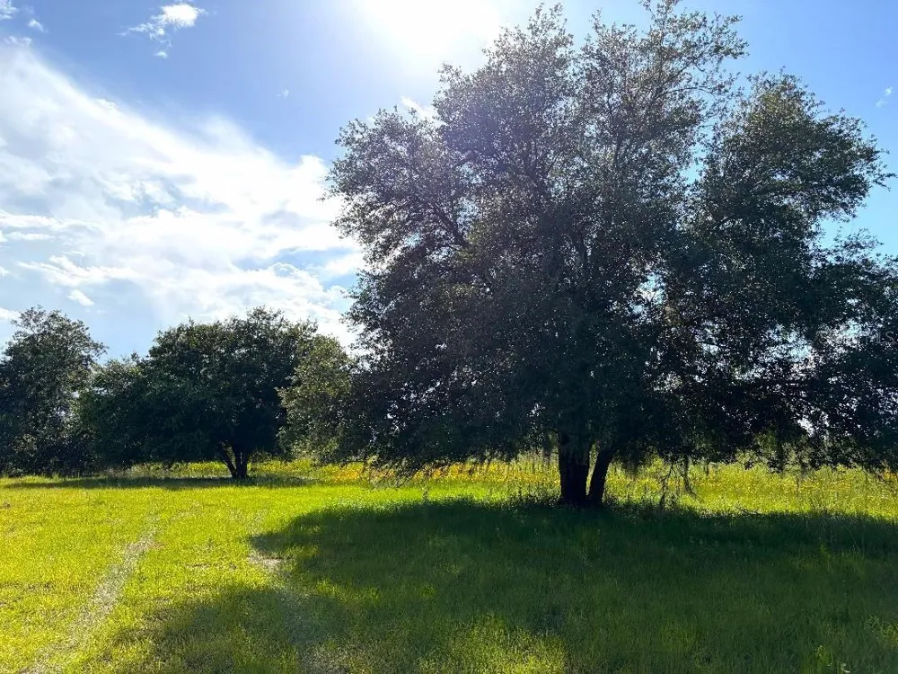 3045 LOGUE ROAD Myakka City, FL 34251