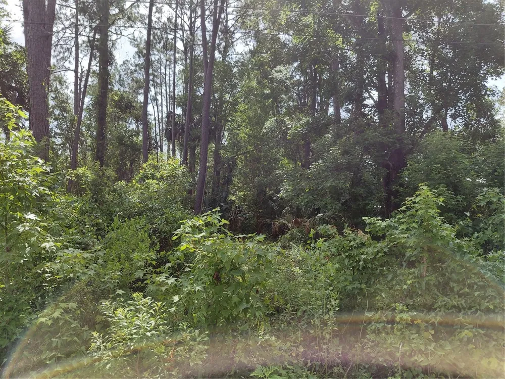 JAMES STREET Astor, FL 32102