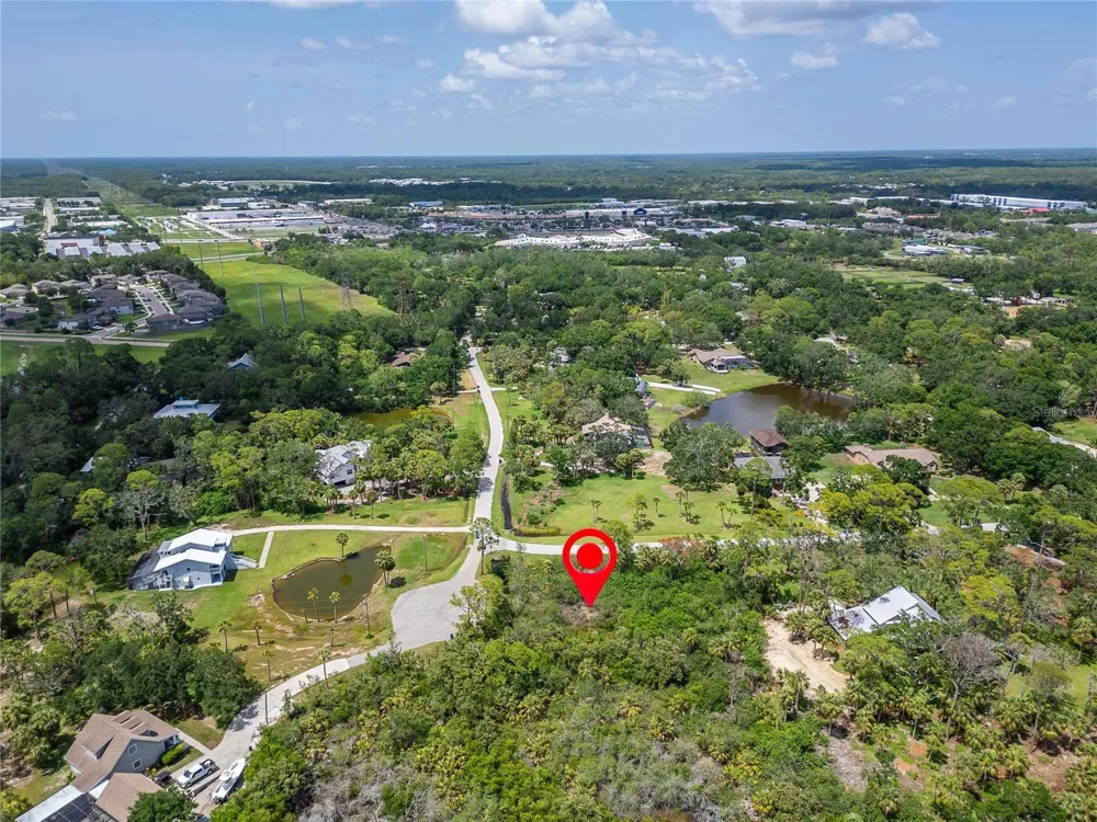 STRATHMORE AVENUE Oldsmar, FL 34677