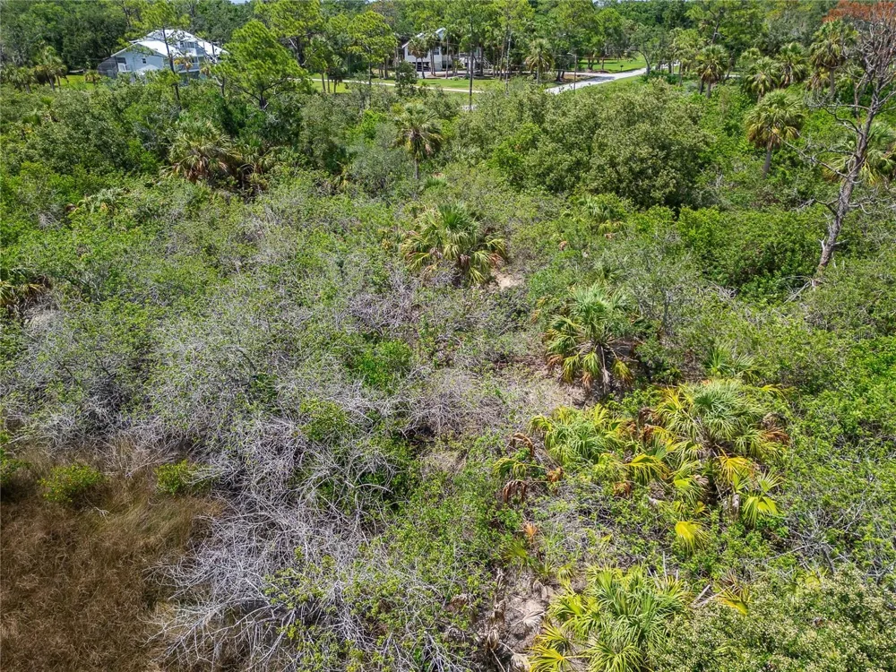 STRATHMORE AVENUE Oldsmar, FL 34677