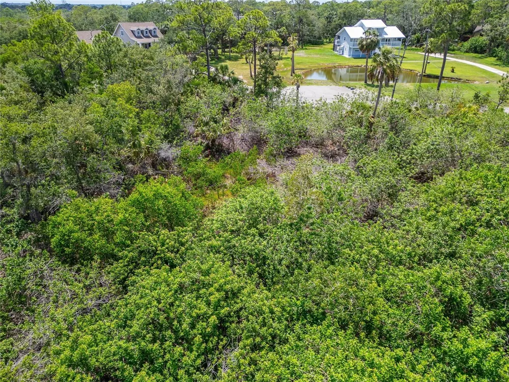 STRATHMORE AVENUE Oldsmar, FL 34677