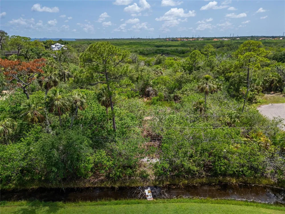 STRATHMORE AVENUE Oldsmar, FL 34677