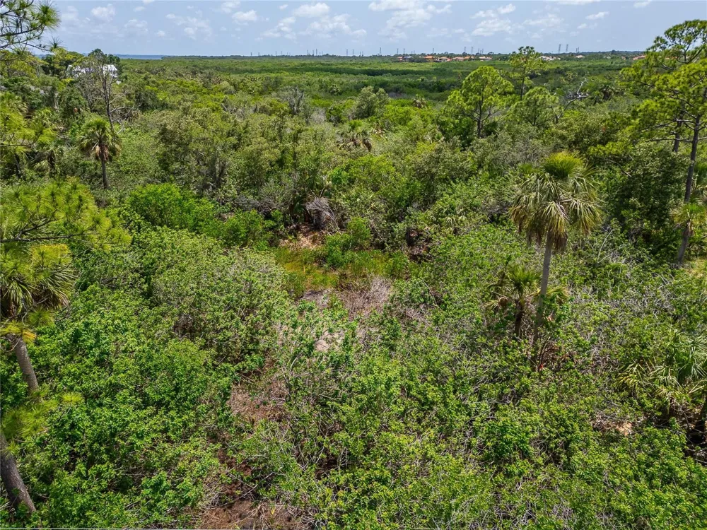 STRATHMORE AVENUE Oldsmar, FL 34677