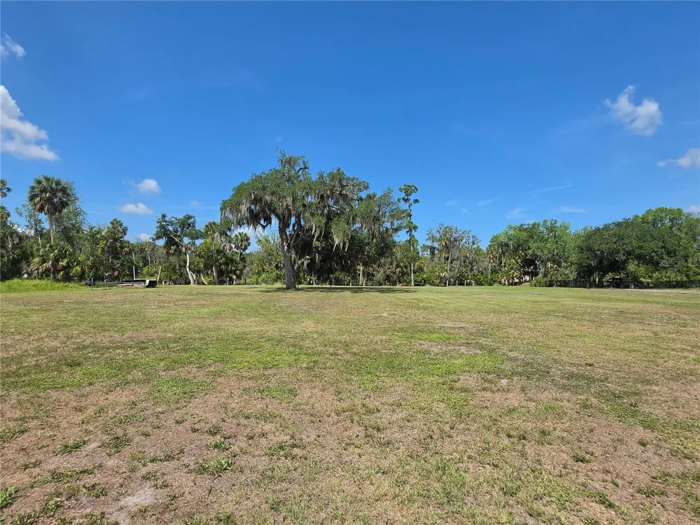 8331 ALAFIA POINTE DRIVE Riverview, FL 33578