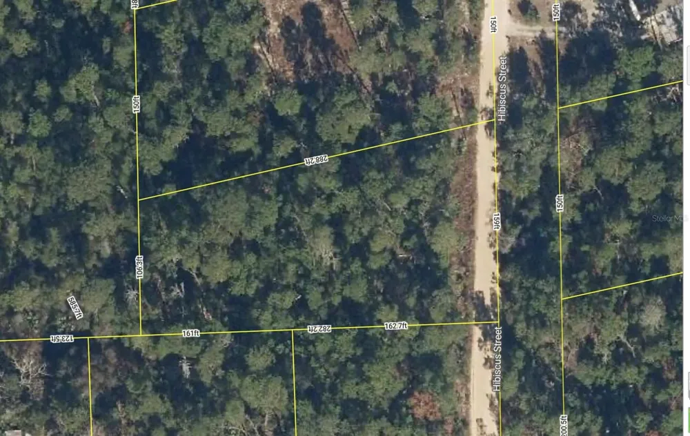 107 HIBISCUS STREET Pomona Park, FL 32181