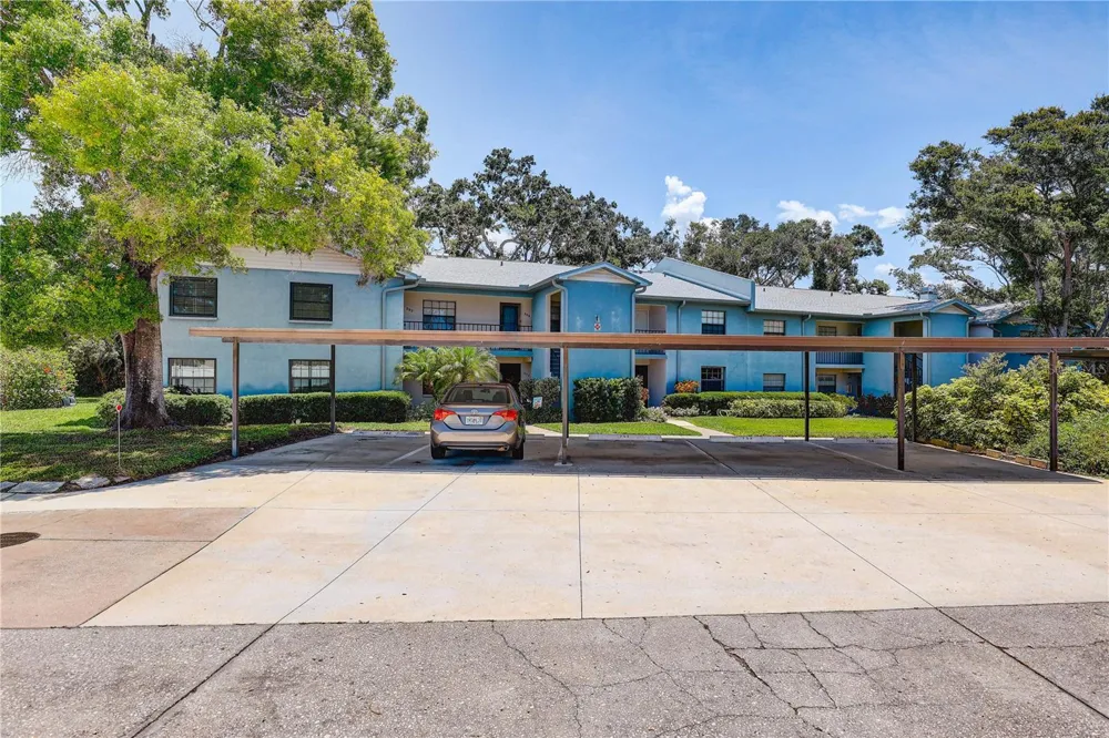 11800 PARK BOULEVARD #208 Seminole, FL 33772