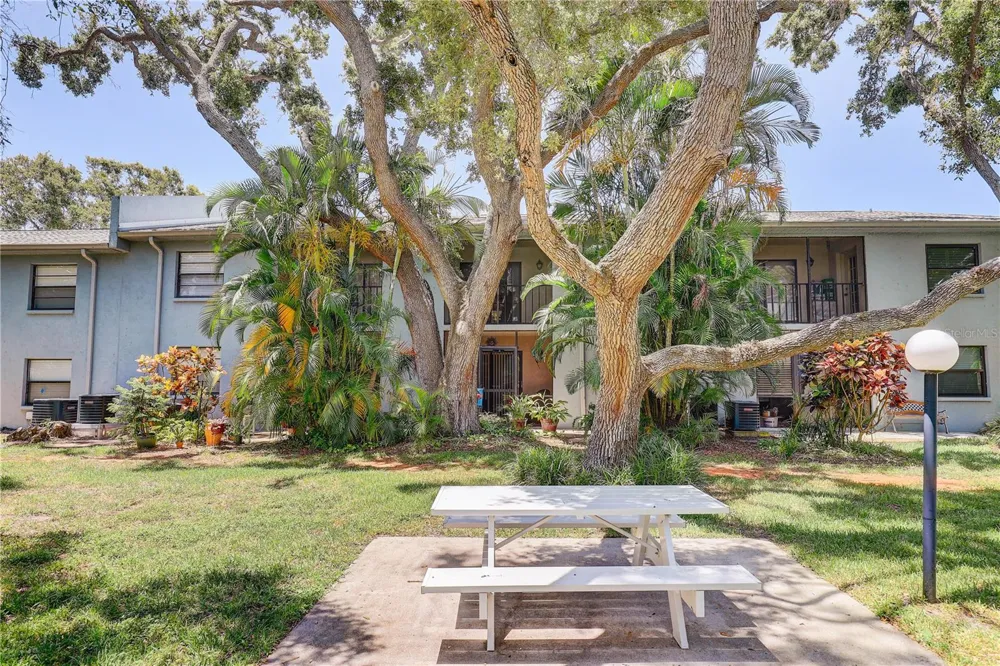 11800 PARK BOULEVARD #208 Seminole, FL 33772