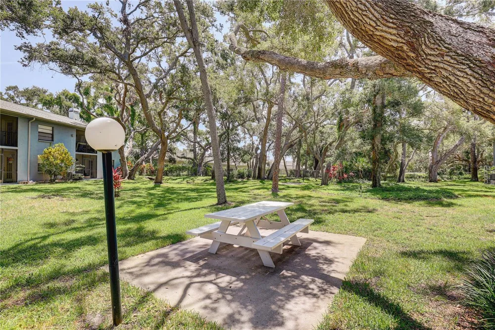 11800 PARK BOULEVARD #208 Seminole, FL 33772
