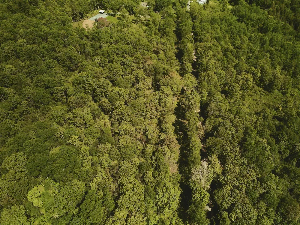 00 Benton Hollow Liberty, NY 12754