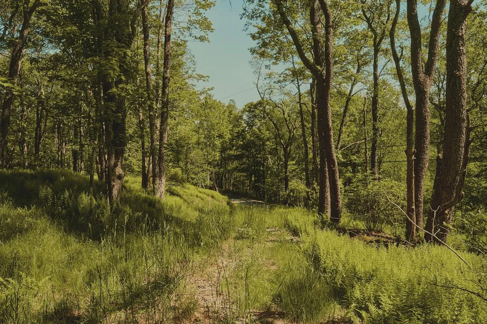 00 Benton Hollow Liberty, NY 12754