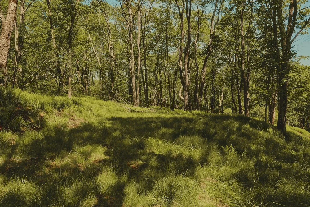 00 Benton Hollow Liberty, NY 12754