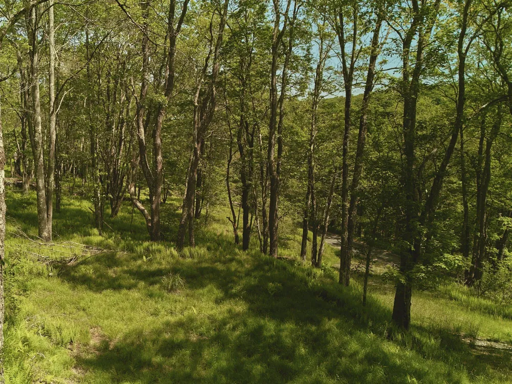 00 Benton Hollow Liberty, NY 12754