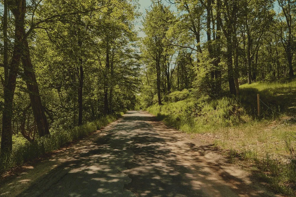 00 Benton Hollow Liberty, NY 12754