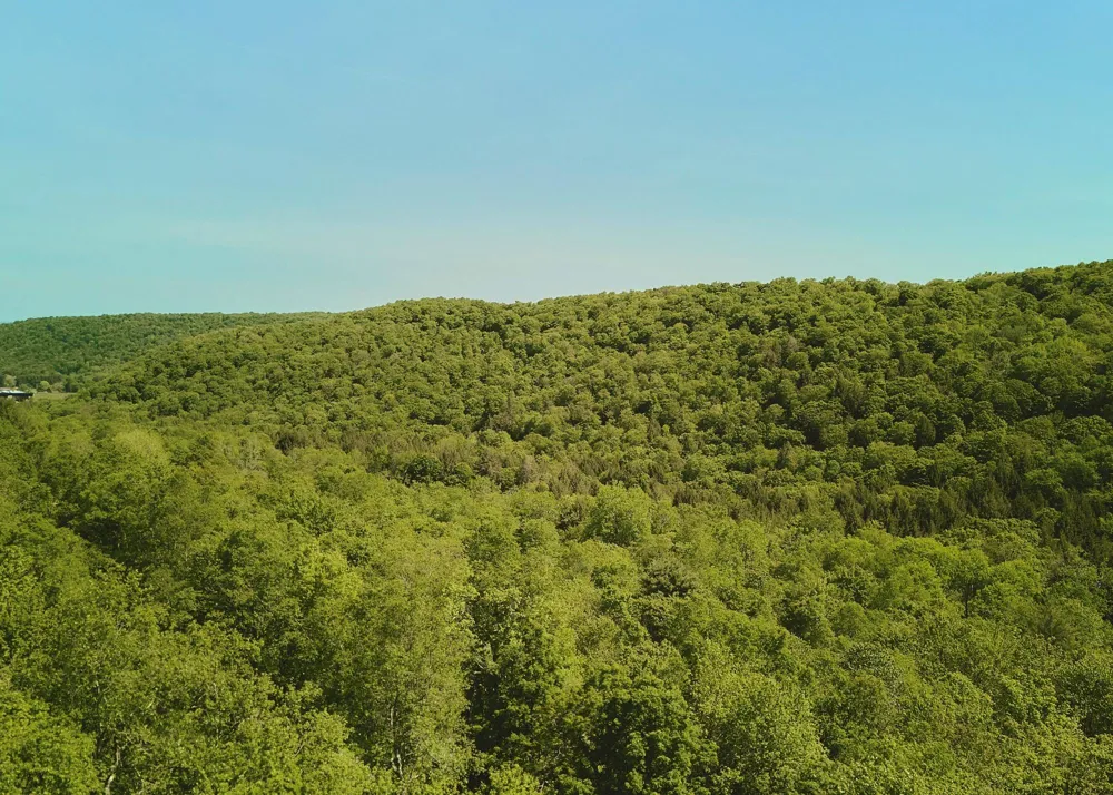 00 Benton Hollow Liberty, NY 12754