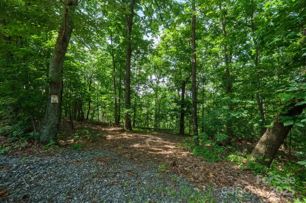 00 Hendren Road Moravian Falls, NC 28654