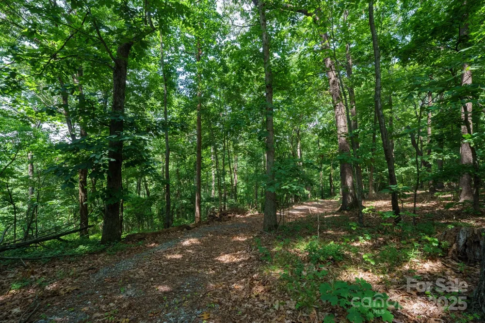 00 Hendren Road Moravian Falls, NC 28654