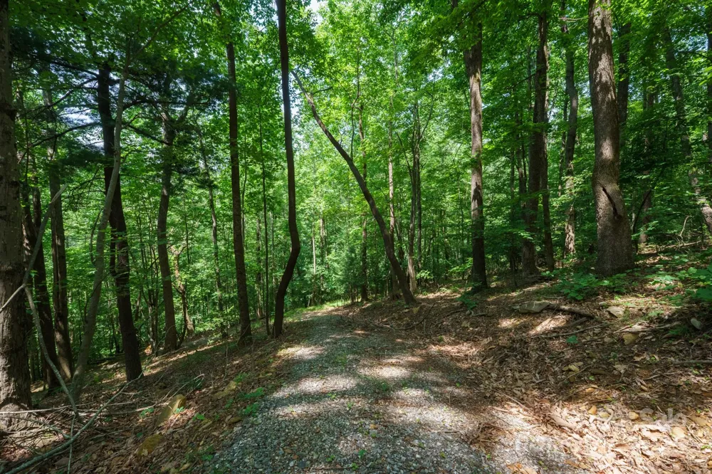 00 Hendren Road Moravian Falls, NC 28654