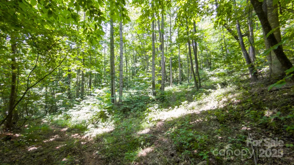 00 Hendren Road Moravian Falls, NC 28654