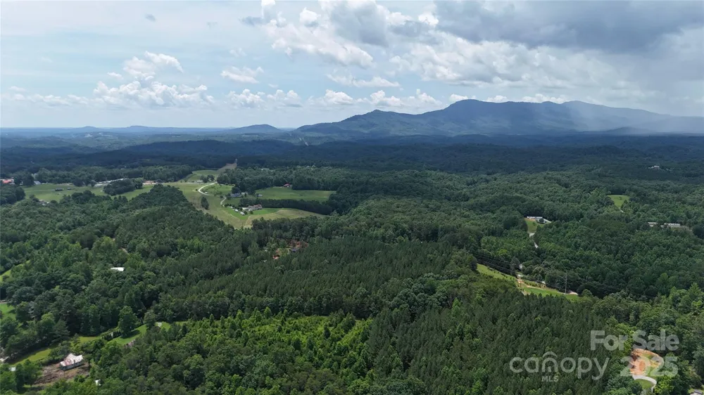 221 Flat Branch Trail Mill Spring, NC 28756
