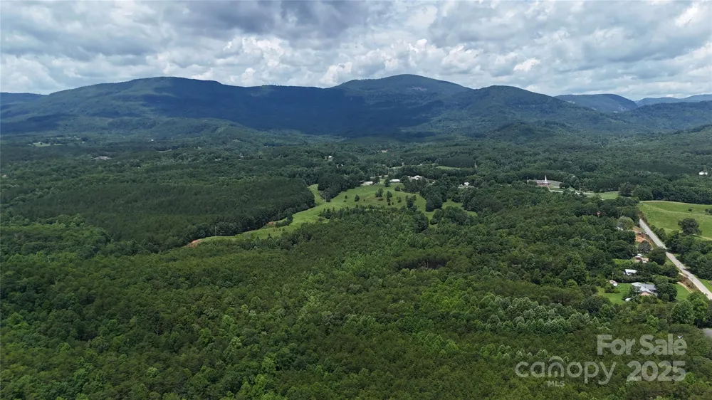 221 Flat Branch Trail Mill Spring, NC 28756