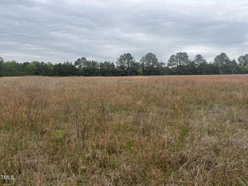 0 Mill Creek Church Road Newton Grove, NC 28366