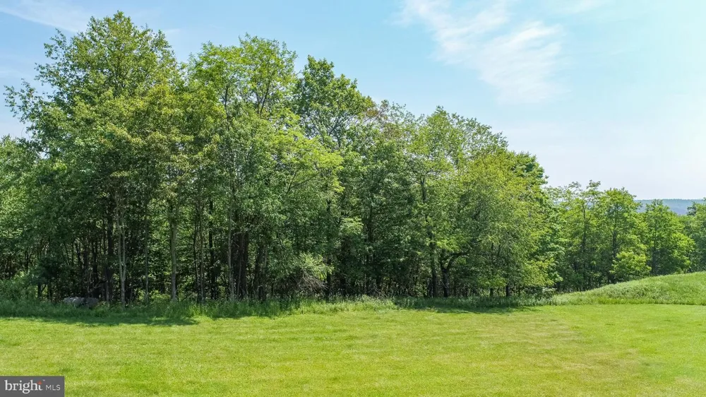 BOULDER RIDGE DRIVE Mc Henry, MD 21541