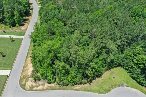 38 Eutaw Springs Trail