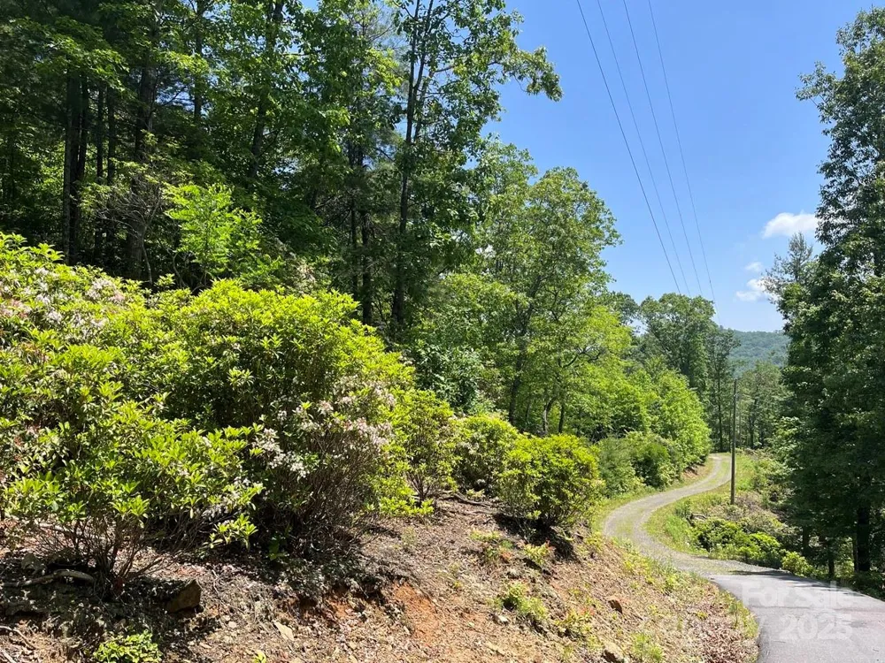 0000 Humpback Mountain Road Spruce Pine, NC 28777