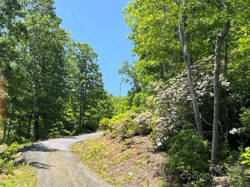 0000 Humpback Mountain Road Spruce Pine, NC 28777