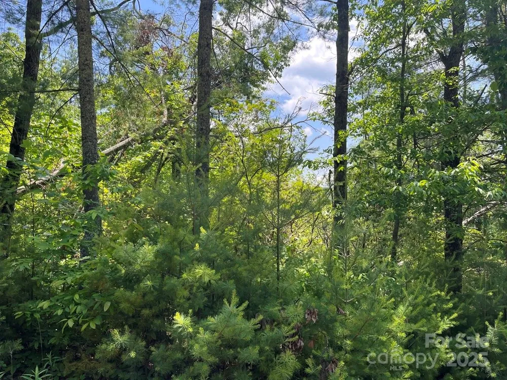 0000 Humpback Mountain Road Spruce Pine, NC 28777