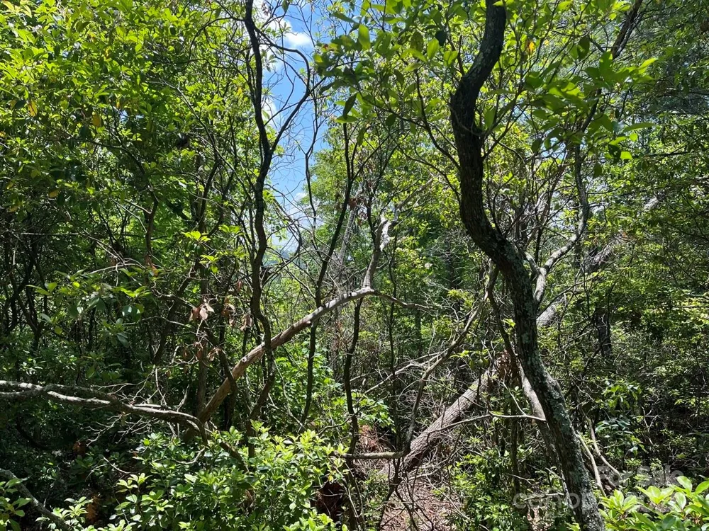 0000 Humpback Mountain Road Spruce Pine, NC 28777