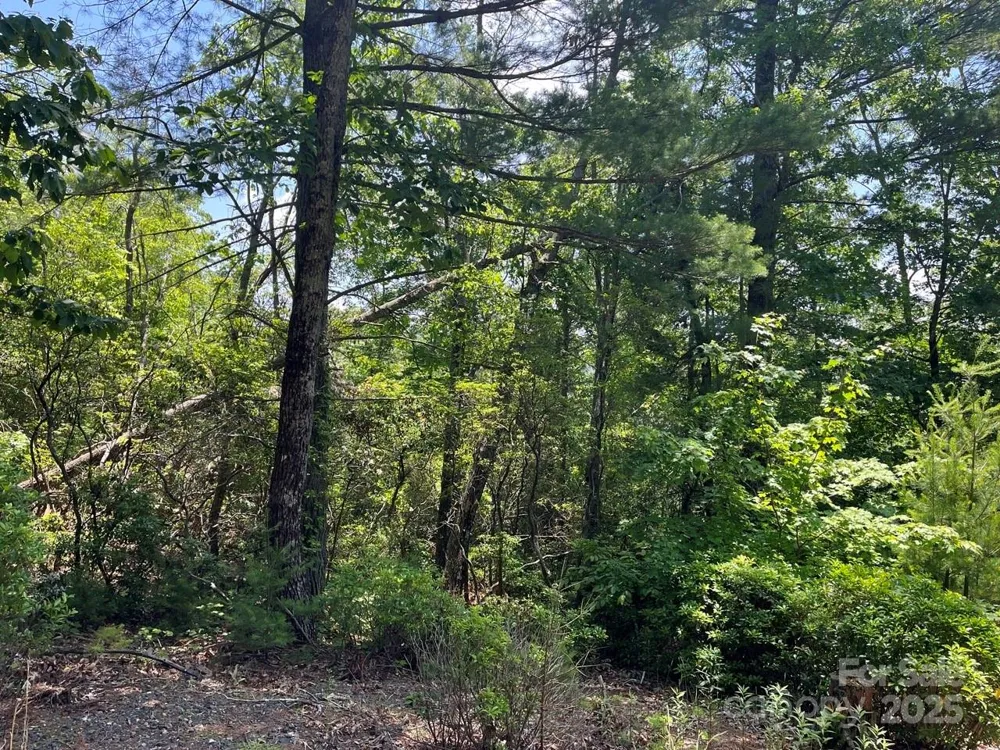 0000 Humpback Mountain Road Spruce Pine, NC 28777