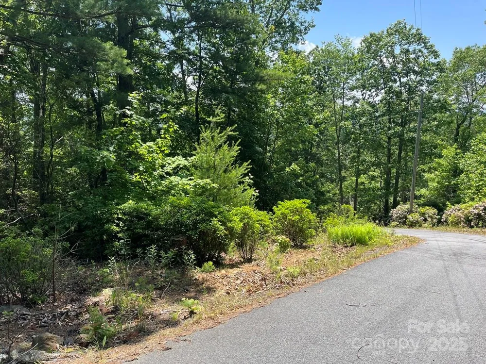 0000 Humpback Mountain Road Spruce Pine, NC 28777