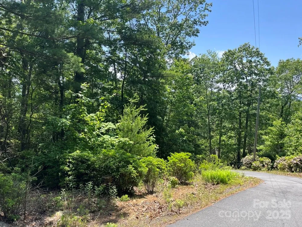 0000 Humpback Mountain Road Spruce Pine, NC 28777
