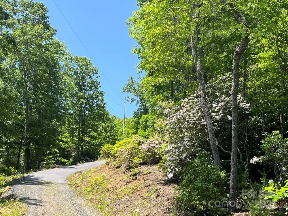 0000 Humpback Mountain Road Spruce Pine, NC 28777