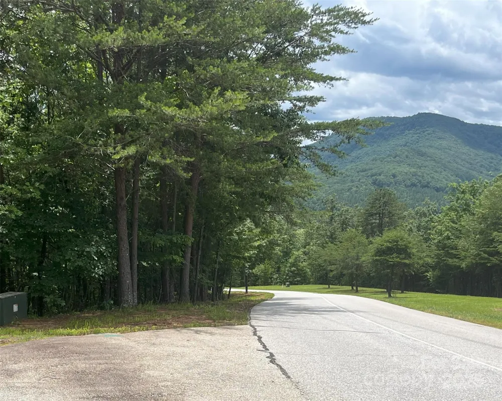 00 Deep Gap Road E #59 Mill Spring, NC 28756