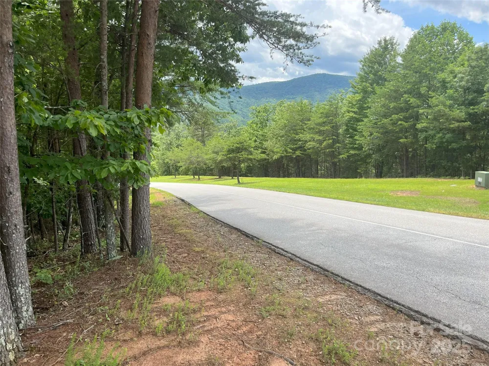 00 Deep Gap Road E #59 Mill Spring, NC 28756