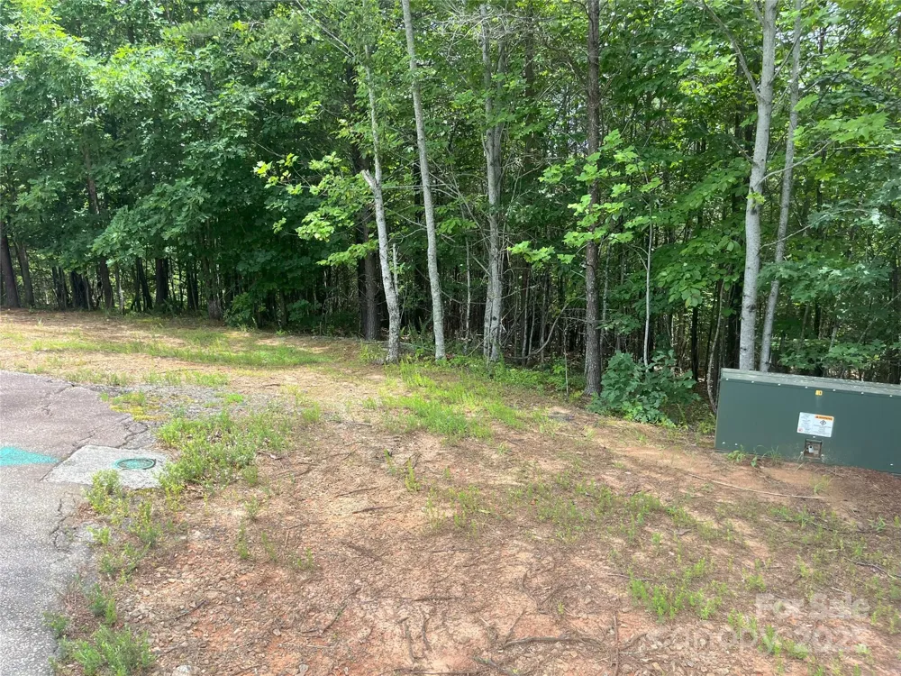 00 Deep Gap Road E #59 Mill Spring, NC 28756